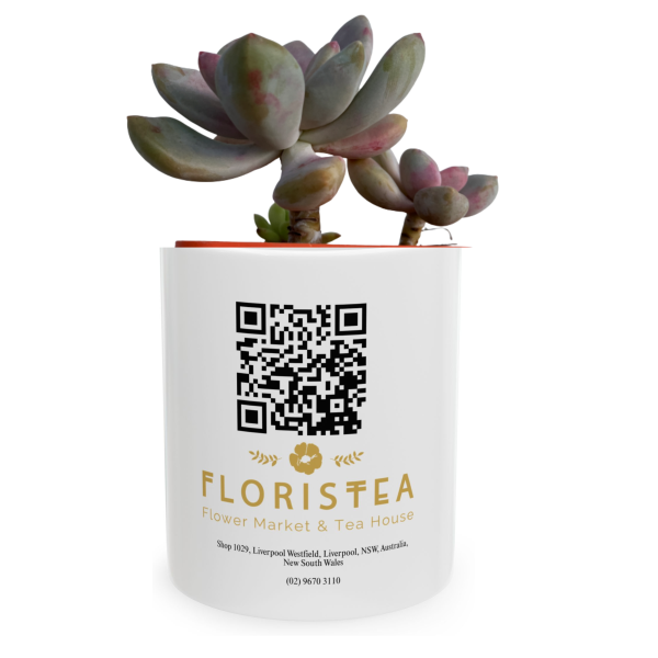 Branded Coffee Mug With Plant | Local Business Promotion Gifts Branded Coffee Mug With Plant | Local Business Promotion Gifts
